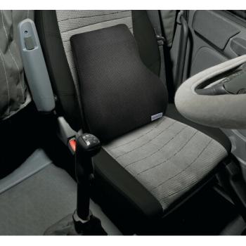 Preview: Lordosenstützkissen